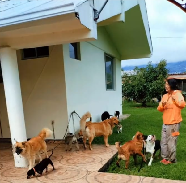 profesionales con mascotas